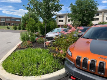 Landscaping work done in a commercial office parking lot.