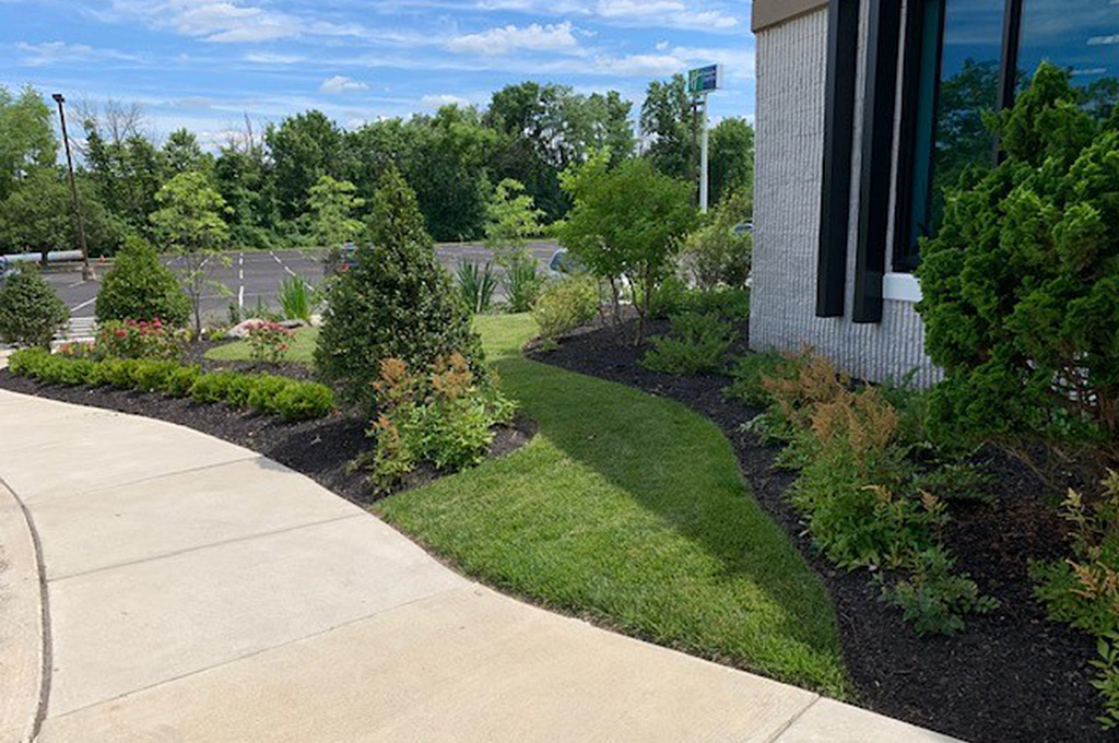 landscaping outside of an office building
